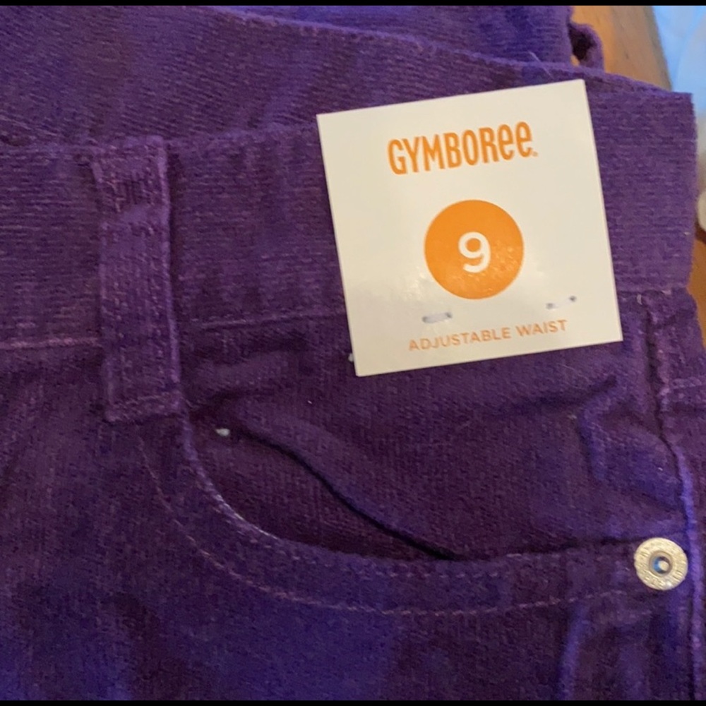Gymboree 2 NWT pants purple and brown size 9